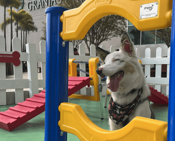 Imagem da facilidade Pet Park